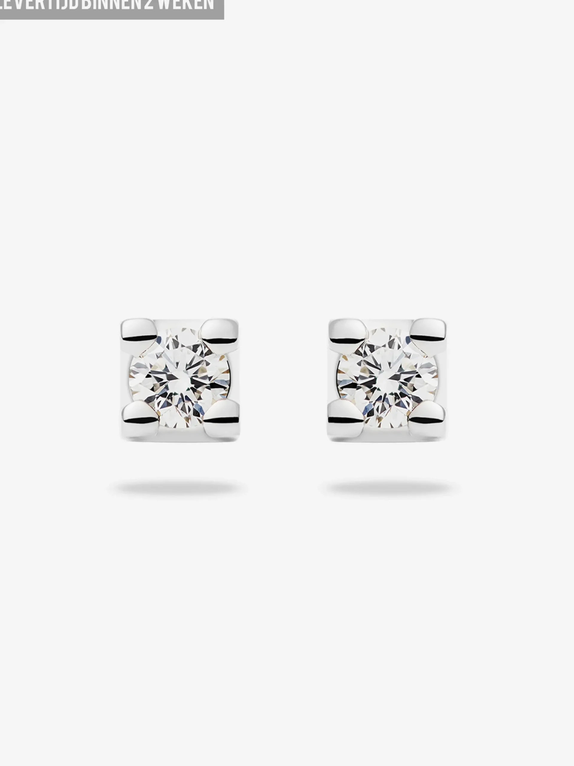 DIAMANTEN OORBELLEN