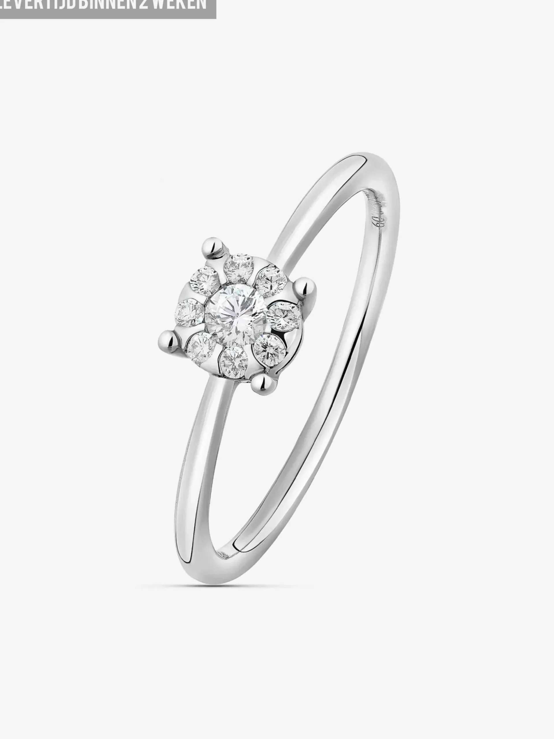 DIAMANTEN RING