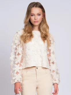 Top with embroidered flowers and mesh balloon sleeves