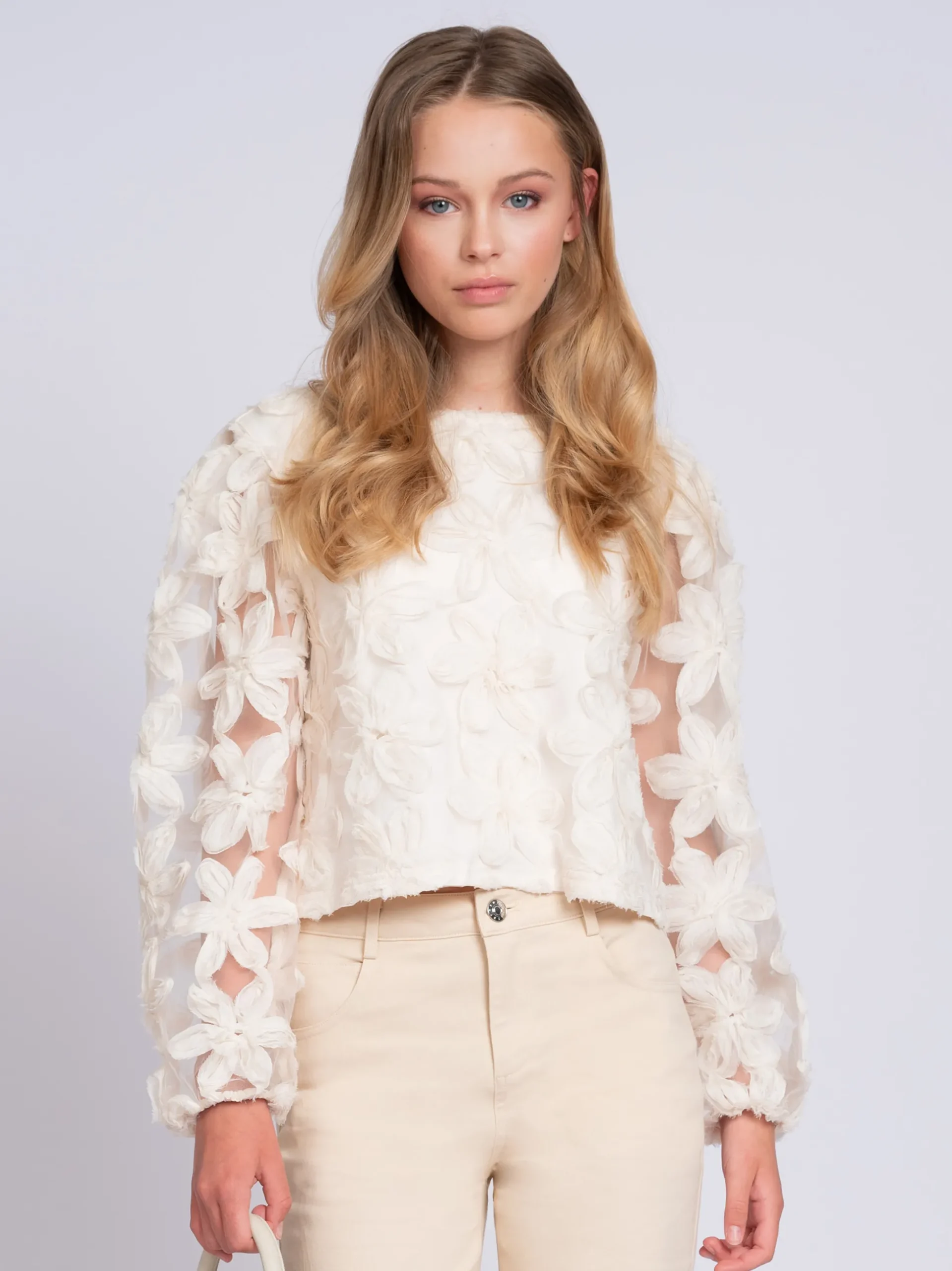 Top with embroidered flowers and mesh balloon sleeves