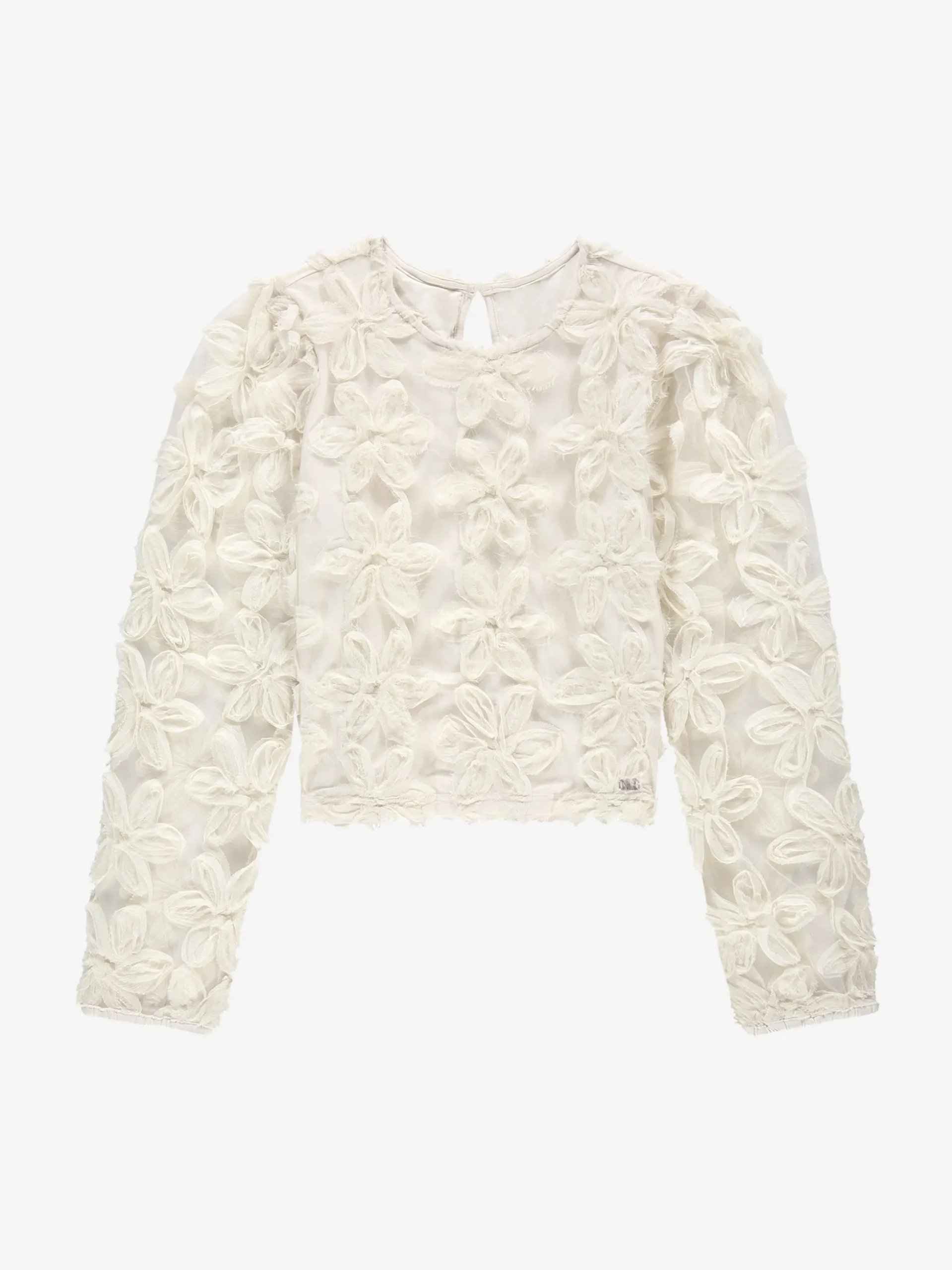 Top with embroidered flowers and mesh balloon sleeves