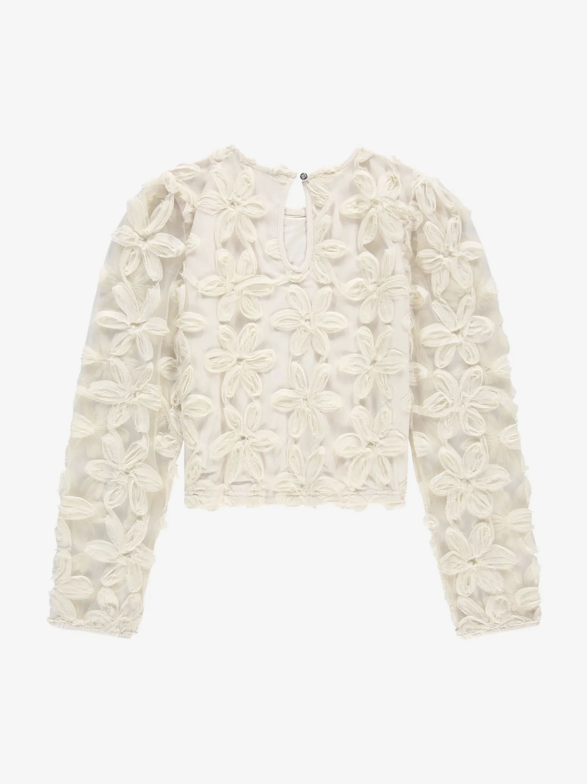 Top with embroidered flowers and mesh balloon sleeves