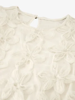 Top with embroidered flowers and mesh balloon sleeves